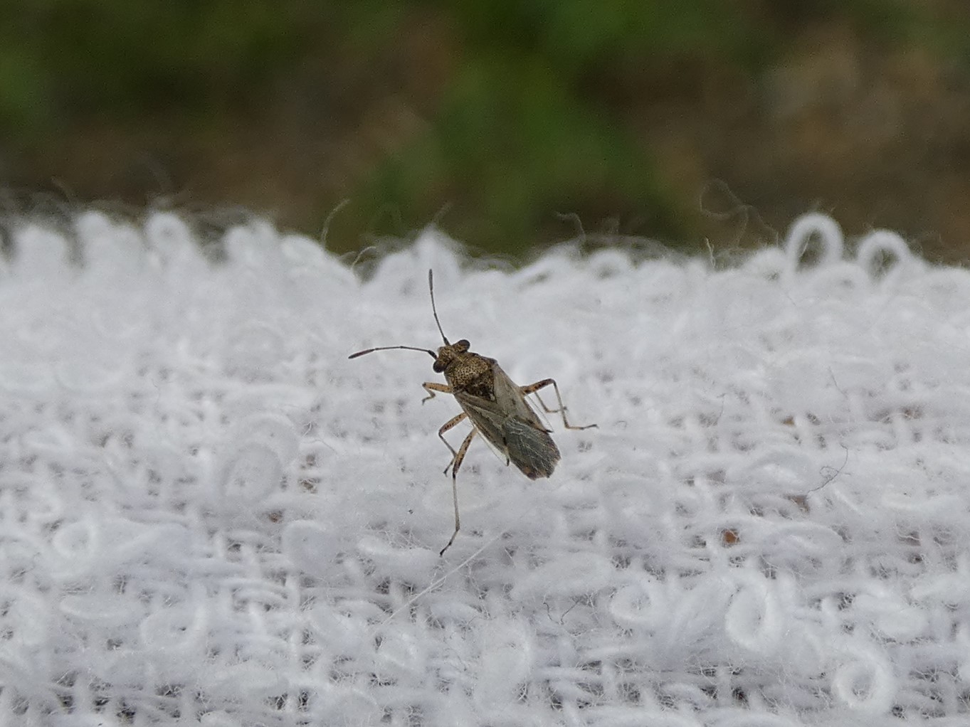photo_4
